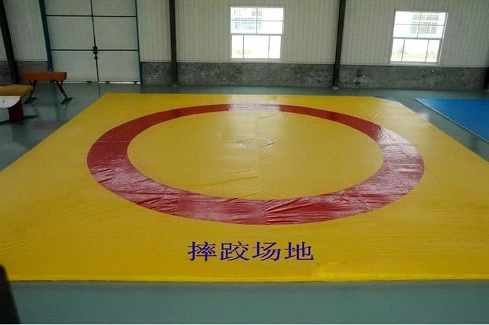 摔跤训练垫子